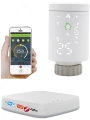 głowica termostatyczna termostat bramka zigbee